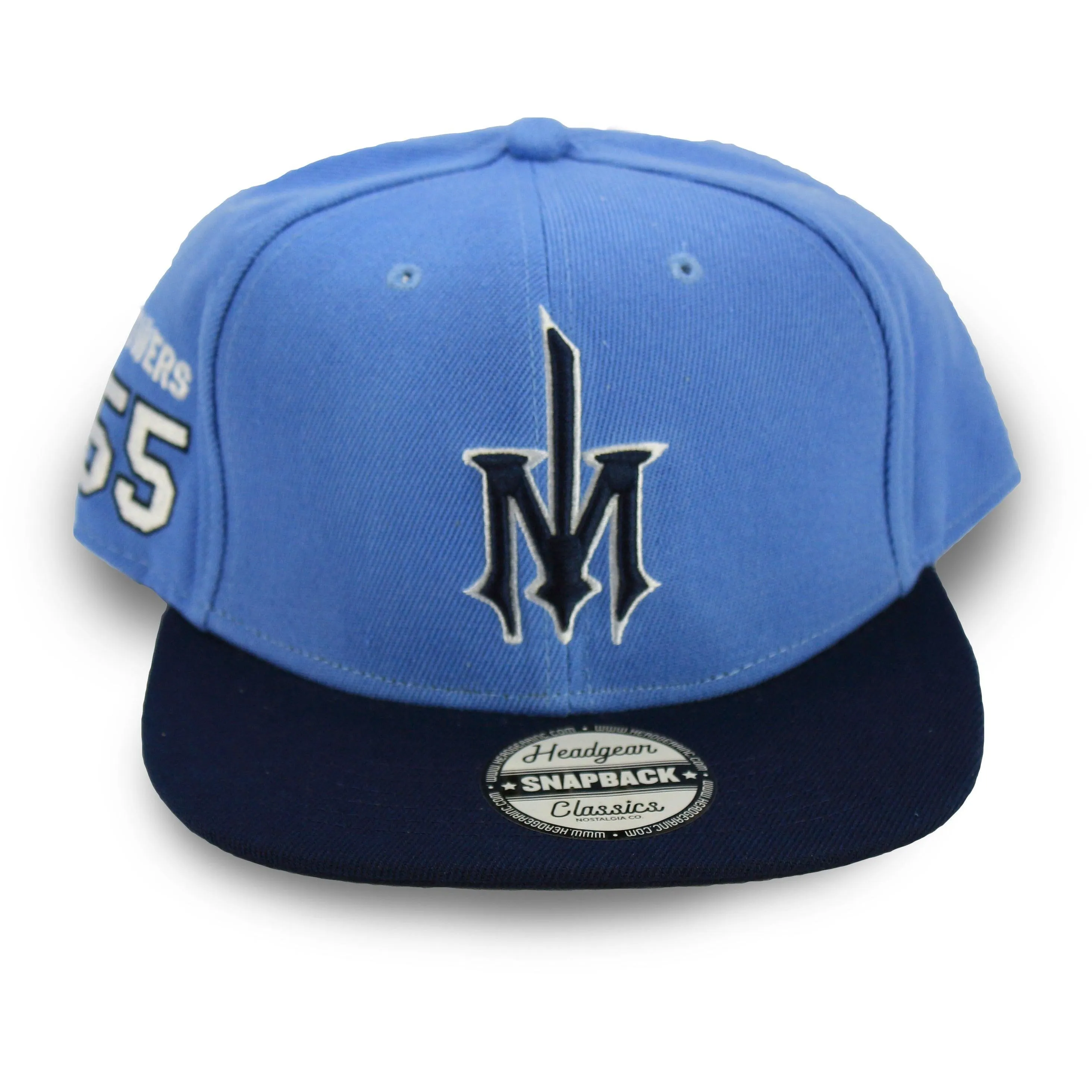 EASTBOUND AND DOWN SNAPBACK HAT (LT BLUE)