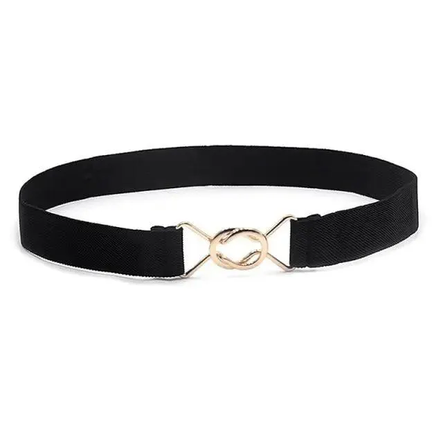 Elegant Wide Fabric Strap  Silver Metal Buckle Belts For Women Trendy Women's Fashion Stretchable Classic Color Belts
