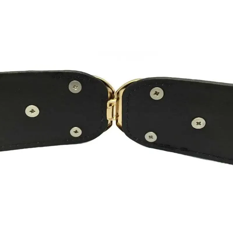 Elegant Wide Fabric Strap  Silver Metal Buckle Belts For Women Trendy Women's Fashion Stretchable Classic Color Belts
