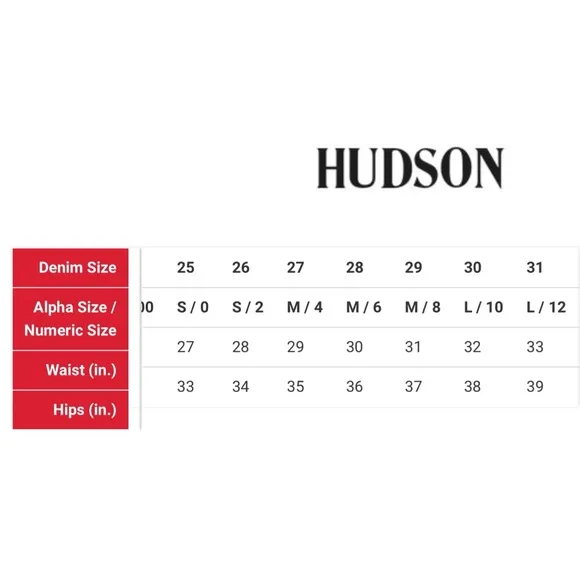 Hudson Jeans Centerfold Skirt High Waisted Metallic SZ 31 Large 12 Coated Pencil