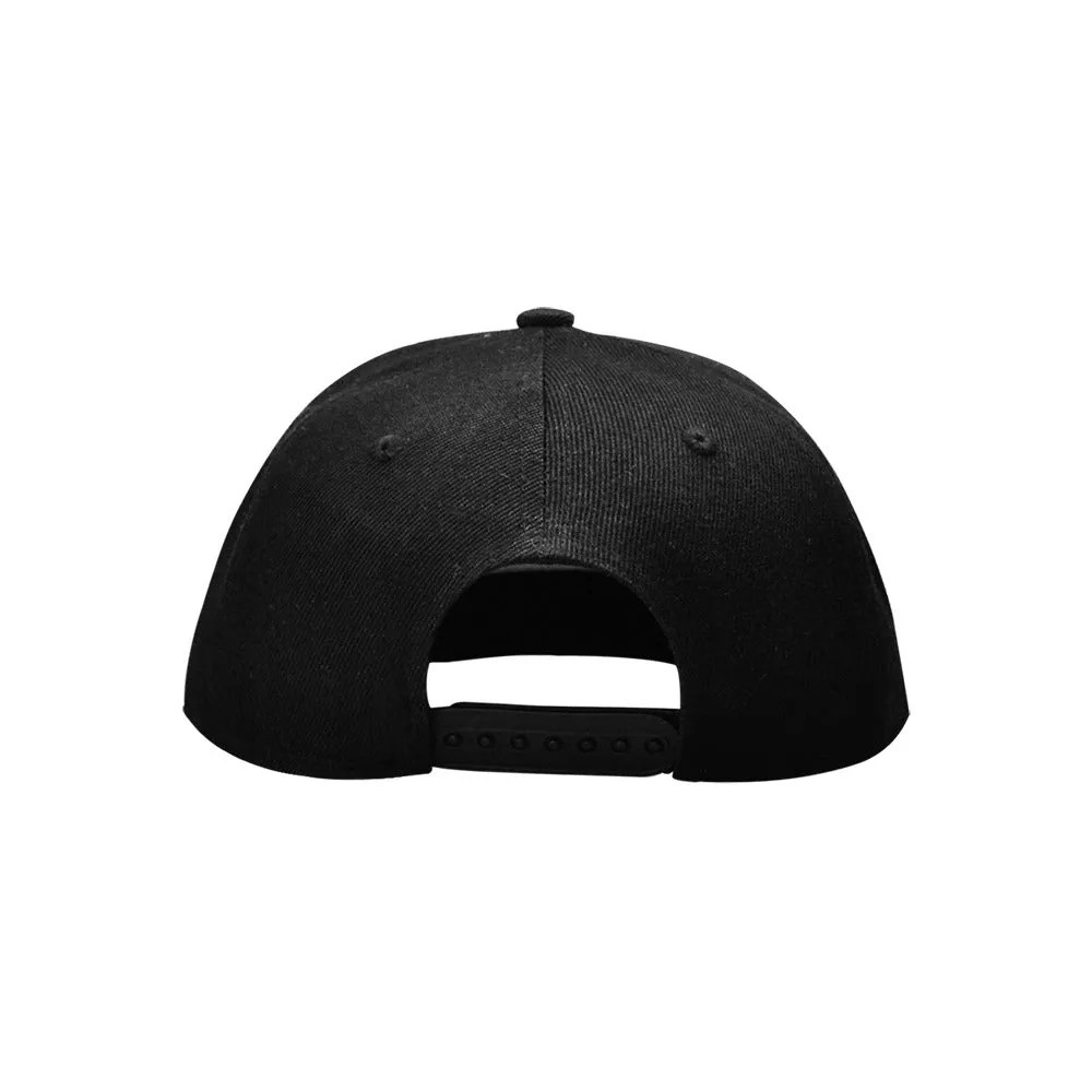 Living Single Ladies Snapback Hat
