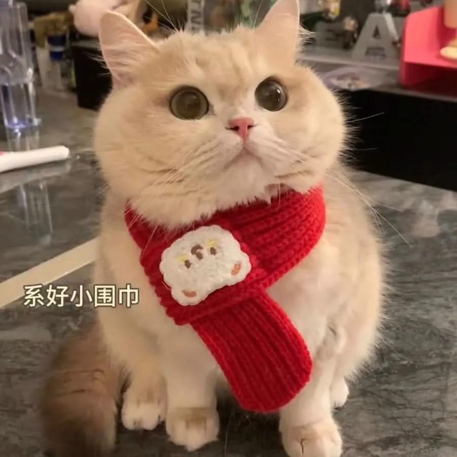 Monochrome Pet Scarf for Cats & Dogs