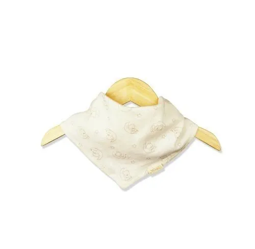 Organic Baby Bibs 2pc Set Triangle Shape Bib