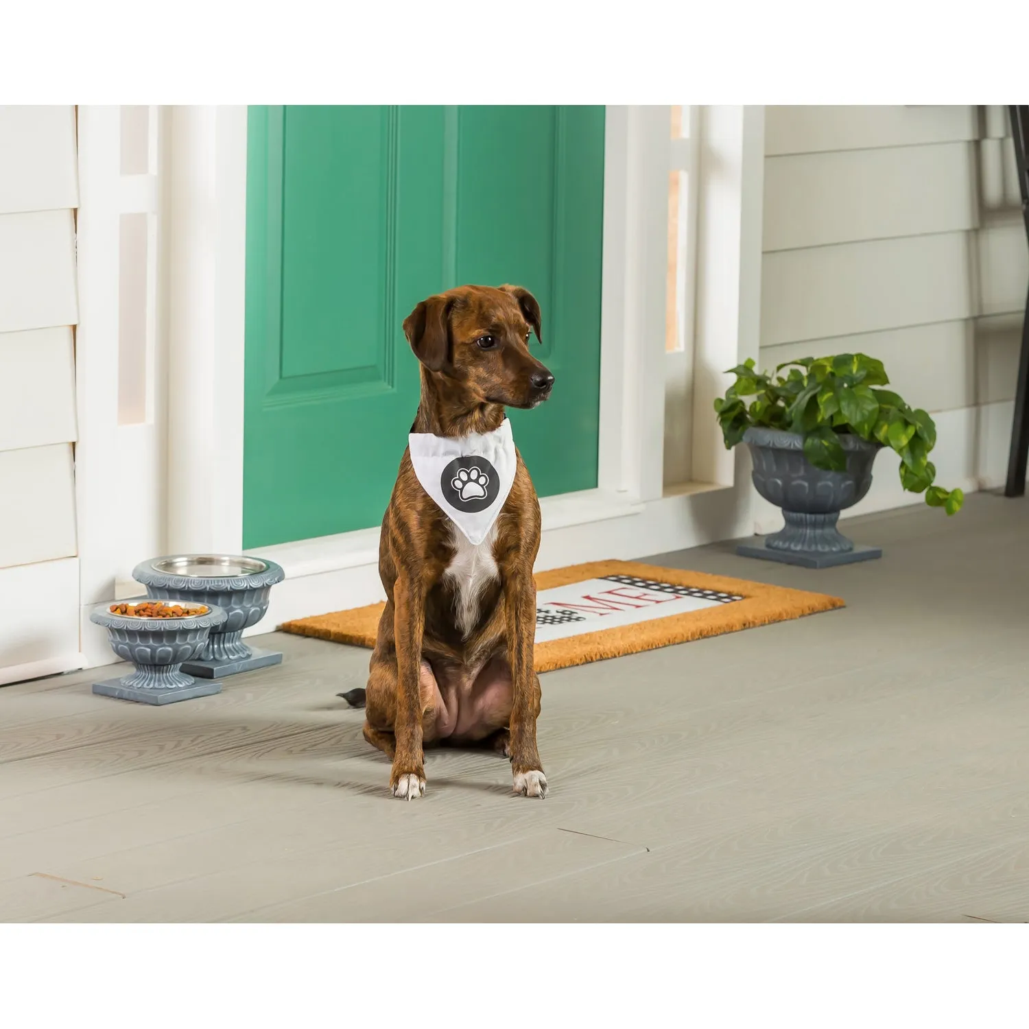 Pet Bandana with adjustable Collar, 2 Asst,7cdu147