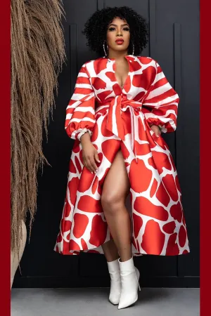 Print Button Down Maxi Dress