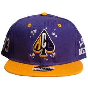 PURPLE/ GOLD LOWER MERION SNAPBACK