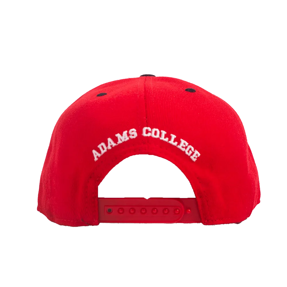 REVENGE OF THE NERDS SNAPBACK HAT (RED)