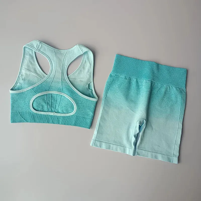 Seamless Yoga Set Women - Workout Sportswear Gym Clothing, Padded Sports Bra High Waist Fitness Shorts, 2 Pieces Sports Suits