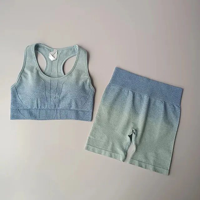Seamless Yoga Set Women - Workout Sportswear Gym Clothing, Padded Sports Bra High Waist Fitness Shorts, 2 Pieces Sports Suits