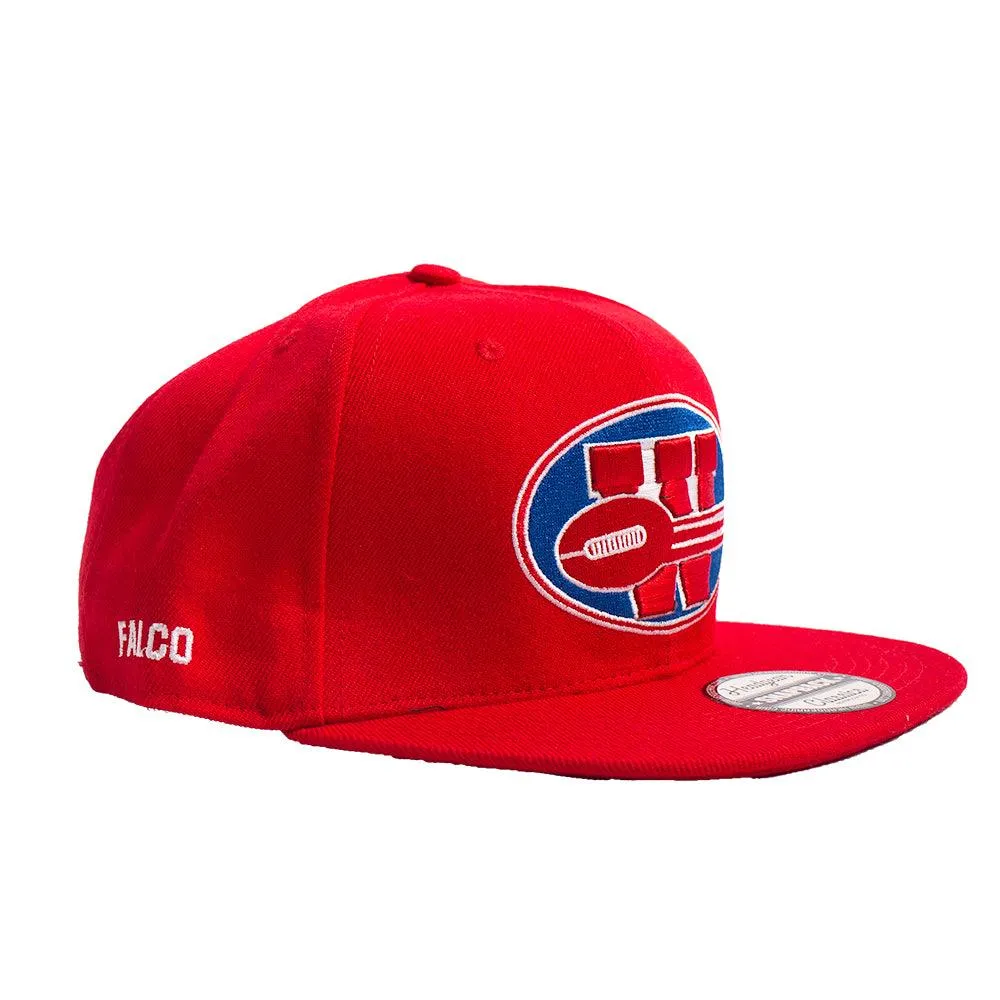 THE REPLACEMENTS SNAPBACK HAT