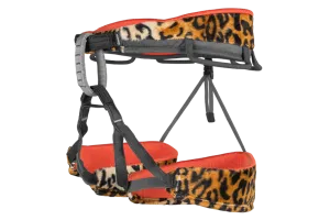 Trend Harness