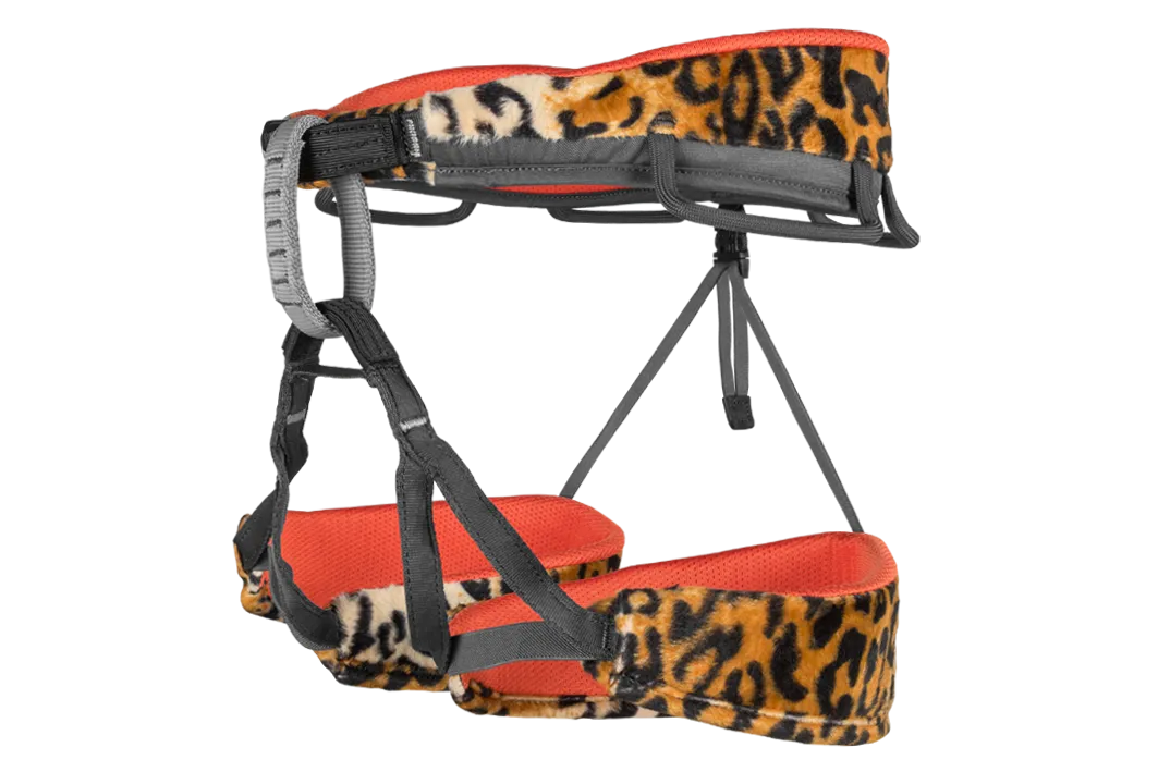 Trend Harness