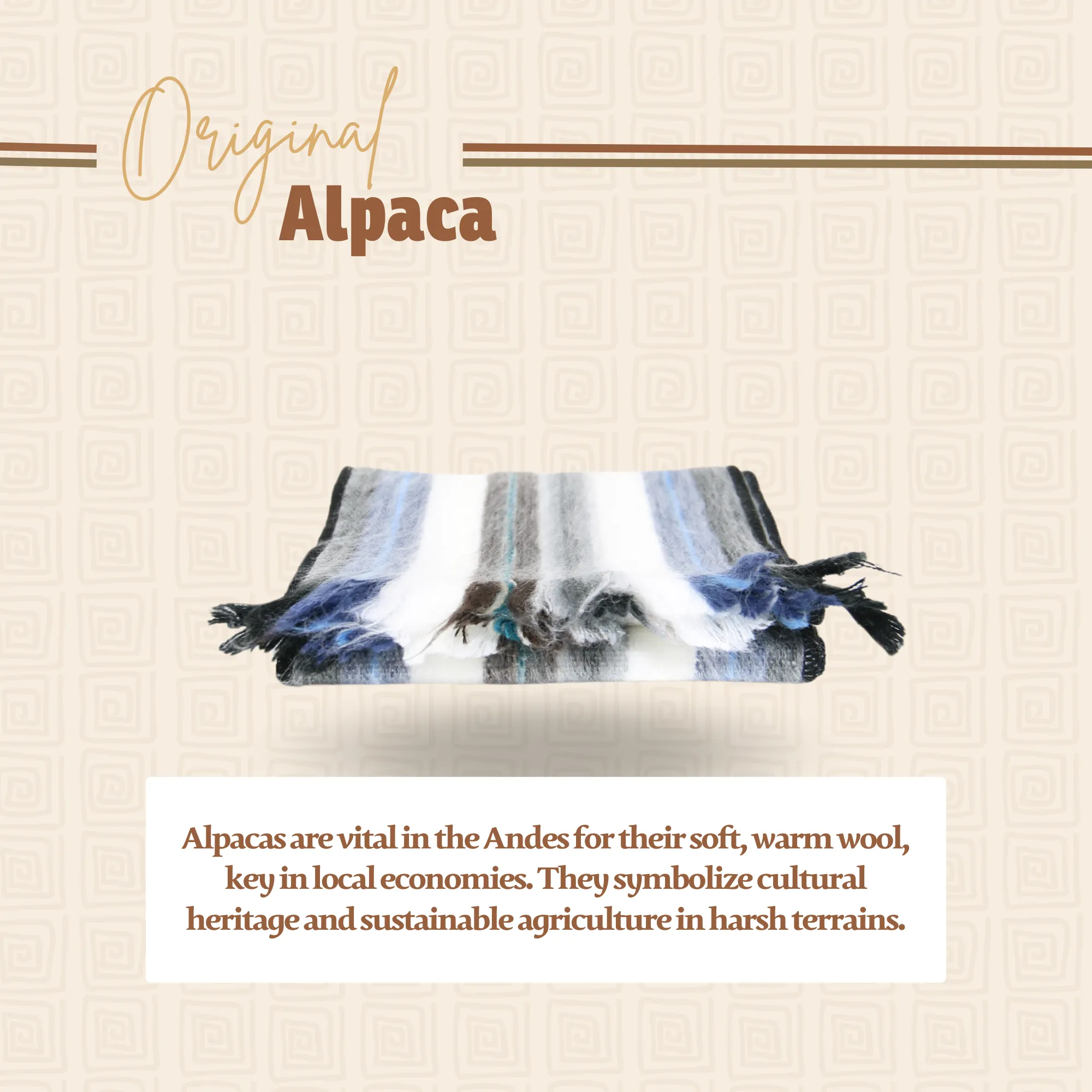 White, Black and Light Blue Alpaca Traditional Scarf